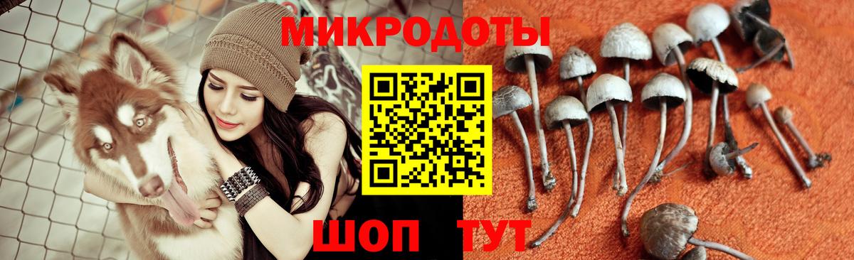 Галлюциногенные грибы мухоморы Усть-Джегута